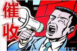 美溪美溪的要账公司在催收过程中的策略和技巧有哪些？